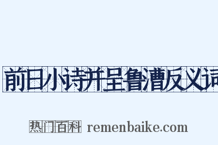 前日小诗并呈鲁漕反义词是什么意思的图片
